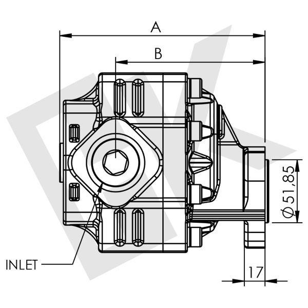 51 CC Bidirectional Gear Pump UNI